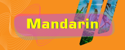 Mandarin Language